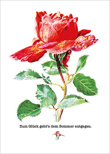 claralachtshop-artcard-dem-sommer-entgegen-katalog-for-every-day-grusskarten-papeterie-gechenke-sticker