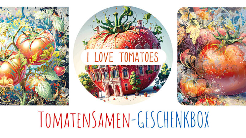 news-tomaten-fantasy-style-tomatensamen-tomatenmagnete-tomatengeschenk-box-claralachtshop-katalog-forteveryday